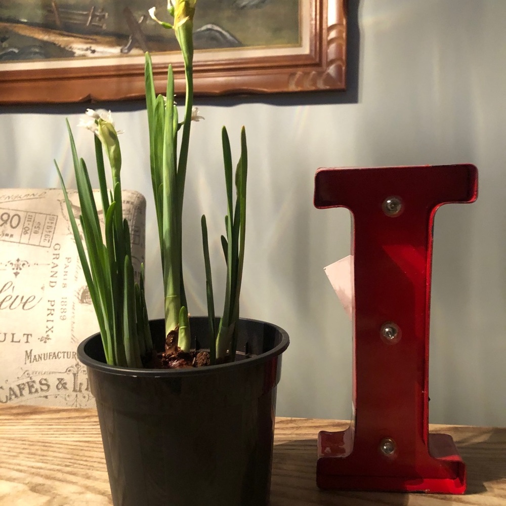 Red Marquee Letter “I” Decor